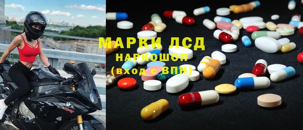 сатива Магас