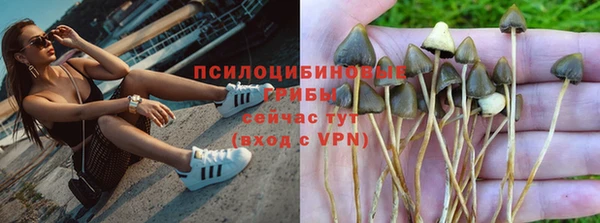 круглые Алексеевка