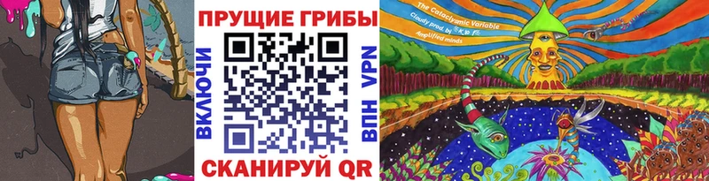 Галлюциногенные грибы Psilocybe  купить наркотики цена  гидра как войти  Новошахтинск 