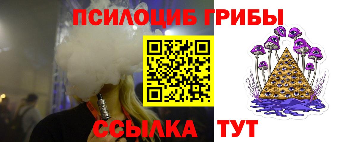 Псилоцибиновые грибы Cubensis Новошахтинск