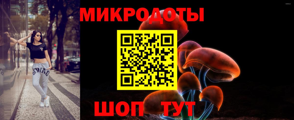 Новошахтинск  Галлюциногенные грибы Cubensis  Вход с VPN 